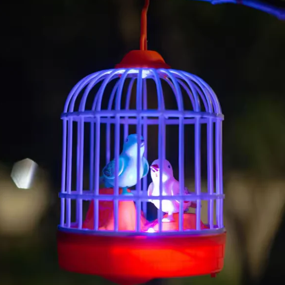 Birds Cage With Light & Sound For Kids