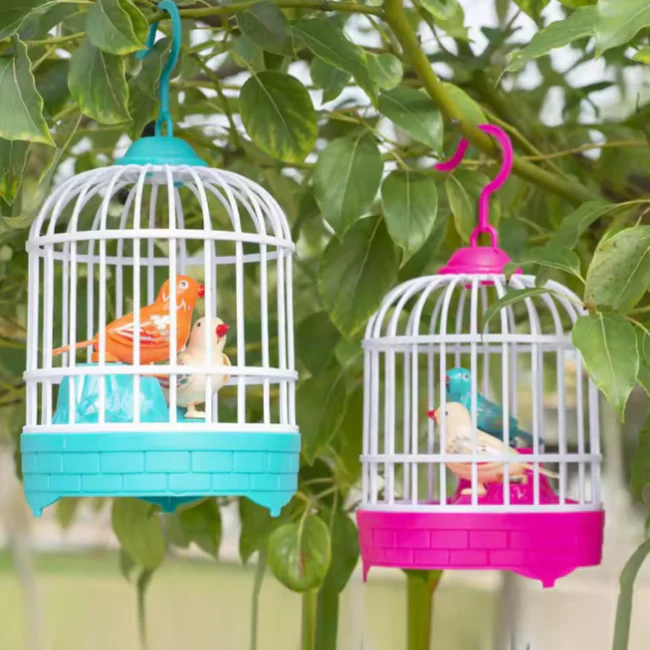 Birds Cage With Light & Sound For Kids
